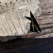 Вістря скіфи наконечник ф57