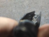IMG_20240404_233505.jpg