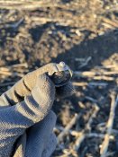 IMG_1048.jpeg