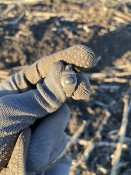IMG_1050.jpeg