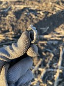 IMG_1051.jpeg