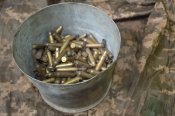 Гильзы 5.56х45 (180 шт.)