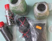 IMG_1595.jpeg