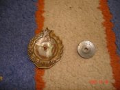 DSC02528.JPG