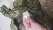 Брюки зимові вкпо 48-4