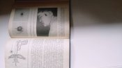 Судова медицина.Бедрин В.В. та інші.