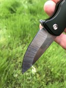 IMG_4183.jpeg