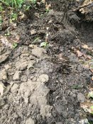 IMG_9171.jpeg