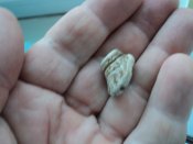 DSC00814.JPG