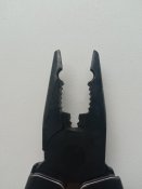 IMG_20240424_091149.jpg