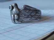 IMG_0991.jpeg