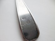 P1220434-1.jpg