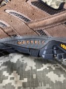 IMG_8820.jpg