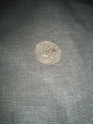 IMG_20240428_171510.jpg