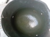 IMG_20131011_173904.jpg