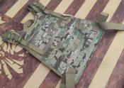 Плитоноска Plate Carrier MBSS VEST