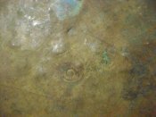 DSC05597.JPG