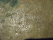 DSC05598.JPG