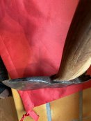 IMG_3393.jpeg