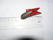 PB100233.JPG