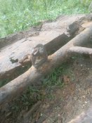 IMG_20240509_080302.jpg