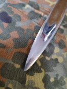 IMG_20240511_042338.jpg
