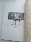 "Revue de cavalerie" 1930.