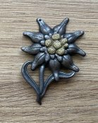 IMG_0817.jpeg