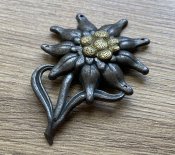 IMG_0818.jpeg