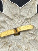 IMG_3814.jpeg