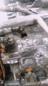 Двигун збитого "Чорного Шахеда"