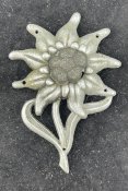 IMG_3893.jpeg