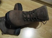 IMG_7743.JPG