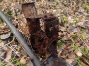 IMG_20131112_150042.jpg