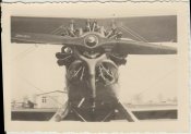 Focke-Wulf Fw44.jpg