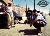 Dickies (2).jpg
