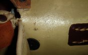 DSC00820.jpg