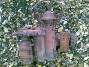 foto1.jpg