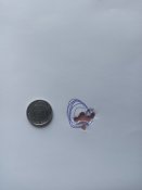 IMG_20240510_200339.jpg