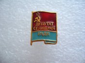 Депутат селищної  ради.