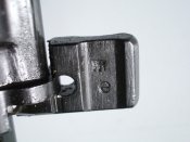 IMGP9435.JPG