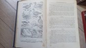 Спутник промыслового охотника. Заготиздат 1954 г.