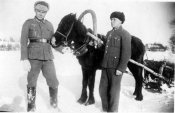 Хиви с конём.jpg