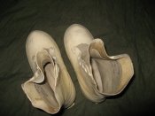 IMG_8223.jpg