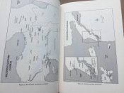 Падение Османской империи. Первая мировая на Ближнем Востоке 1914-1920