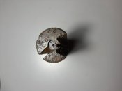 Затвор мп 38/40