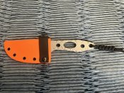 IMG_1867.jpeg