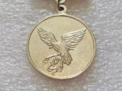 Нагрудний знак «Учасник АТО». Відзнака НГШ МО ЗСУ. Б.