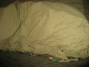 IMG_8201.jpg