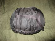 IMG_8206.jpg